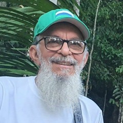 novo hino do Padrinho Alfredo 17 Santa Cura 2023