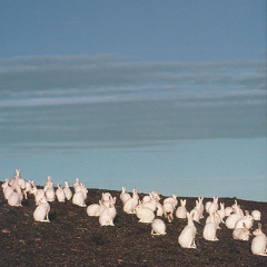 'cause you're not there yet