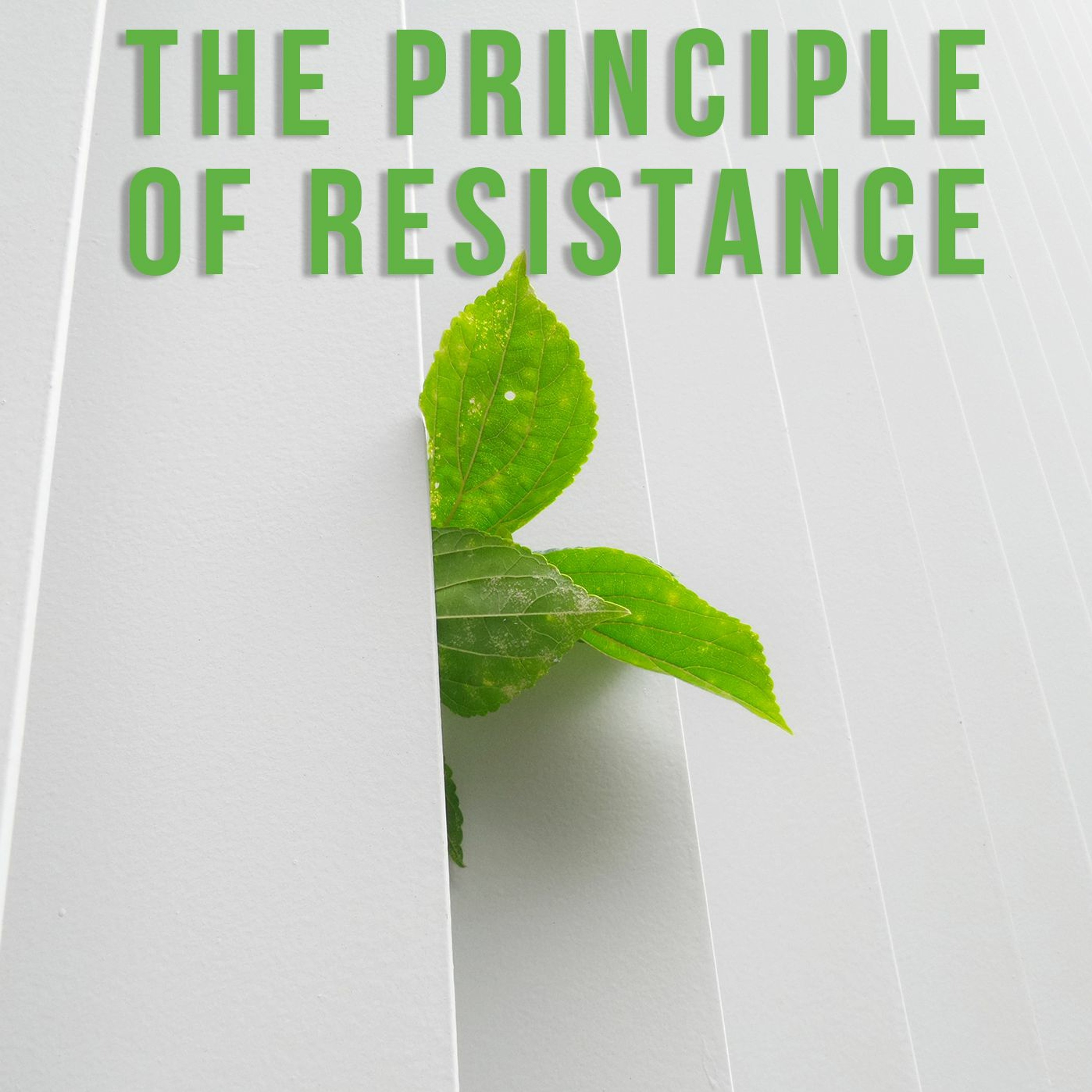 The Principle of Resistance episode artwork