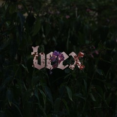 Damn! [prod. Kronic]