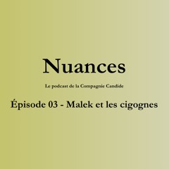 NUANCES [EP 03   MALEK ET LES CIGOGNES]