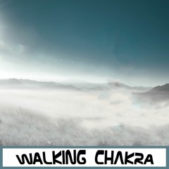 Everyday is a New Beginning - Walking Chakra