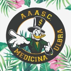 BAILE DO TIO PATINHAS - SELEÇÃO RAP/TRAP #01