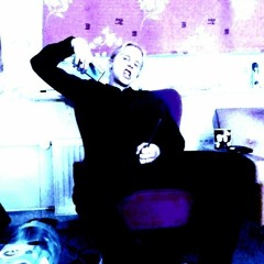 Siideripylly Tan$$ii