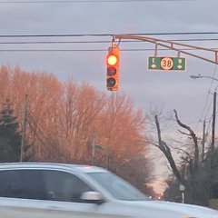 JEREMY STEIG - GALE (v1)