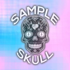 Pay The Price - Mike Liebner Dinner Combination 6 - Sample Skull Demo Song