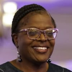 Marion Porterfield for Schenectady City Council