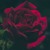 Artwork for Here My LOVE Is