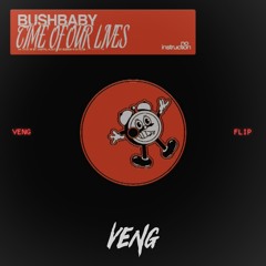 BUSHBABY - TIME OF OUR LIVES (veng flip)