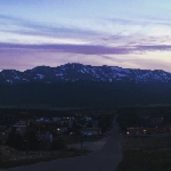 Strauss Park / St. Louis