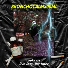 Bronchocalm300ml