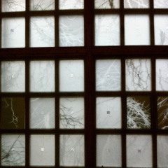 Thrown into a Black Hole D1