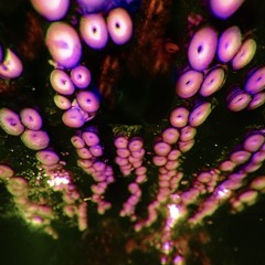 Million Possibilities