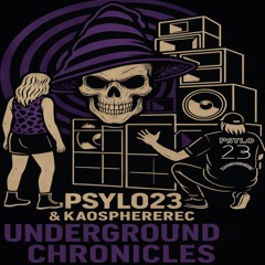 Psylo23 - Outside Me