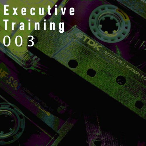 MOTVS - EXEcutive TRAining 003