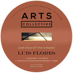 Last Days Of The Collapse (Emmanuel AKNF Remix)