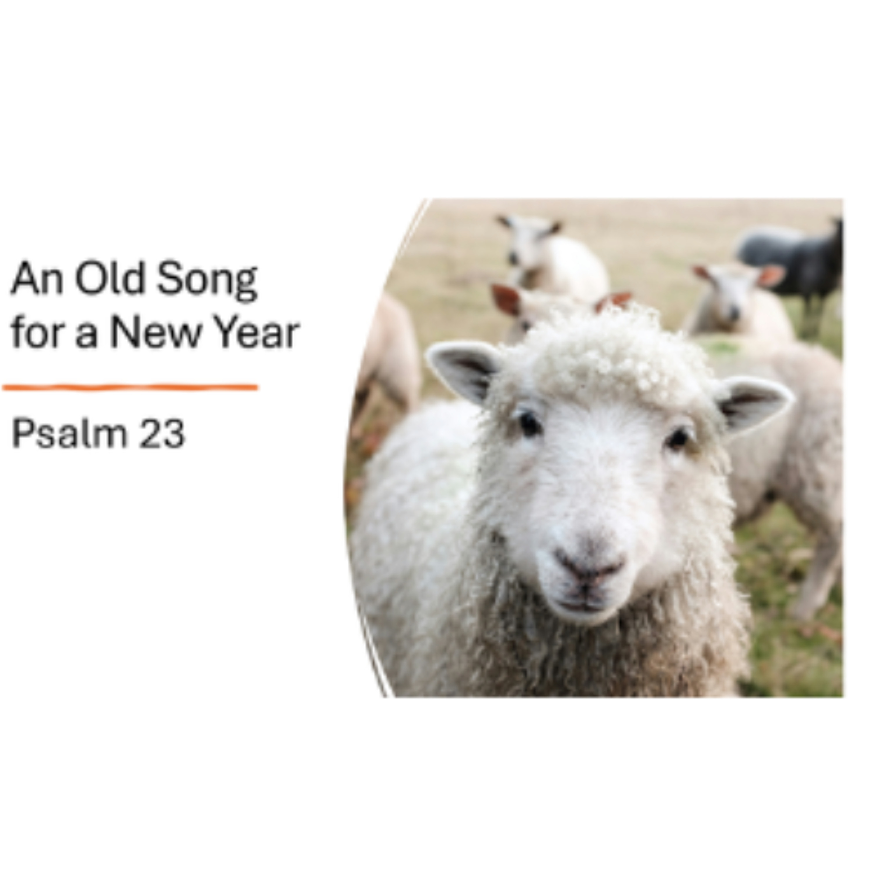 Nelson Covenant Church