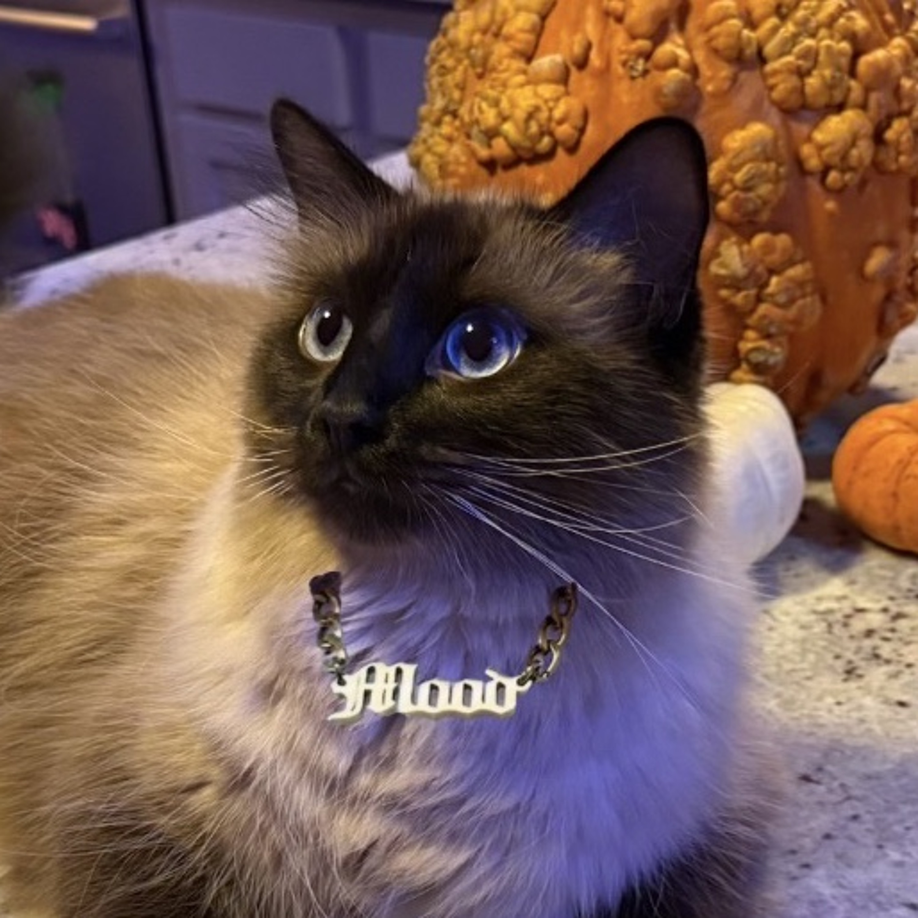 to accept a truth thats not your own