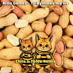 Tu rythmes ma vie (Chris & Tofee remix)