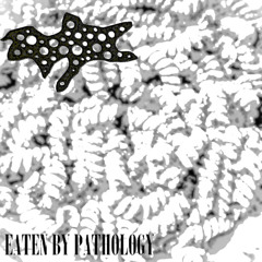 Putrified Ulcerification Of Slited Peptic