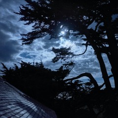 Man In The Moon