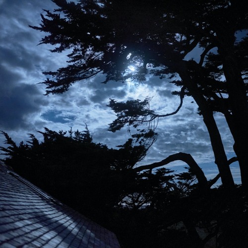 Man In The Moon