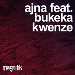 Kwenze (feat. Bukeka)