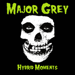 Hybrid Moments (Cover)