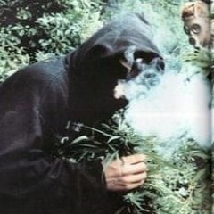shh!t grove
