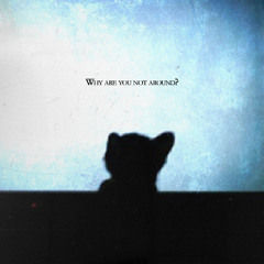 MalardD - Why are you not around?
