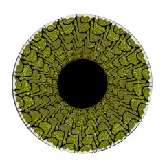 ▝▟▐▗▜▝▞ ▙ ▐▜▗▜ ▙▝▞ ™ [𝘝𝘪𝘯𝘺𝘭 𝘖𝘯𝘭𝘺] 012: SD 2008