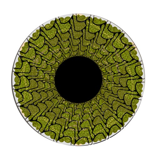 ▝▟▐▗▜▝▞ ▙ ▐▜▗▜ ▙▝▞ ™ [𝘝𝘪𝘯𝘺𝘭 𝘖𝘯𝘭𝘺] 012: SD 2008