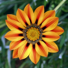 Super Instrumental (FREE DOWNLOAD)