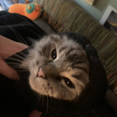 wasnt in love feat. eduardo II