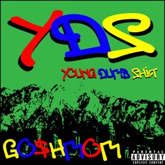 Y.D.S (Young Dumb Shit)