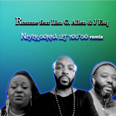 Never Gonna Let You Go (the remix)