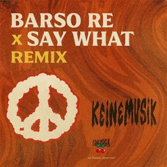 Barso Re X Say What - Remix