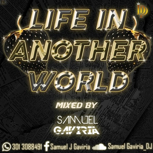 Life In Another World