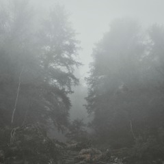 Into The Haze