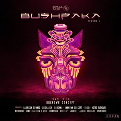 BushpaKa, Vol. 3 Compilation Preview - Mixed by Bongani