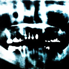 HOLLA 4 A DOLLA (feat. Tommy Roulette & S K U L L Y)