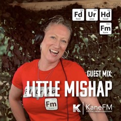 Feed Your Head Guest Mix: Little Mishap