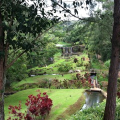 Gary_Meister_///Recent_Work