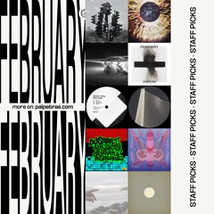 Staff Picks [February 2025]