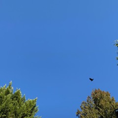 at the party as usually but u feel like u got wings