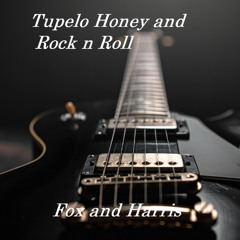Tupelo Honey and Rock n Roll