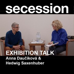 Anna Daučíková in conversation with Hedwig Saxenhuber