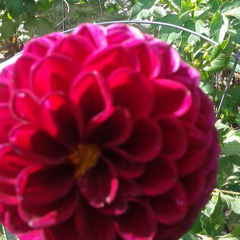 waiting for the planetary alignment blues - 2026-02-15, 8.53 AM