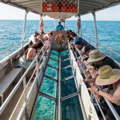 Review Special Price Glass Bottom Boat Snorkelling Tour Bundle
