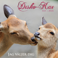 Jag väljer dig "Maxieffects rmx"